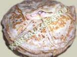 горячие закуски - рецепты c фото | блинчики с ветчиной, грибами и сыром